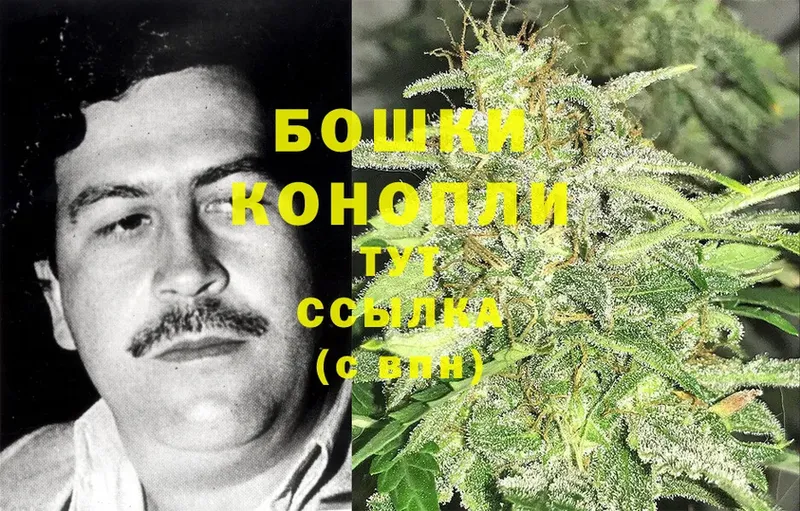 blacksprut как войти  Светлоград  Конопля OG Kush  купить наркотики сайты 